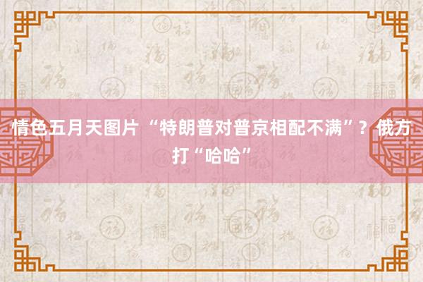 情色五月天图片 “特朗普对普京相配不满”？俄方打“哈哈”