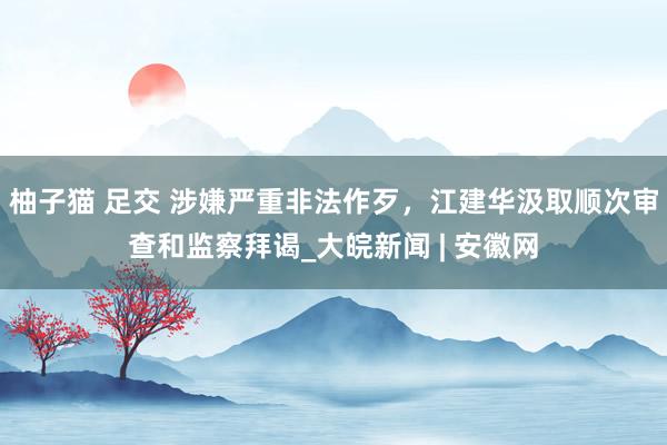 柚子猫 足交 涉嫌严重非法作歹，江建华汲取顺次审查和监察拜谒_大皖新闻 | 安徽网