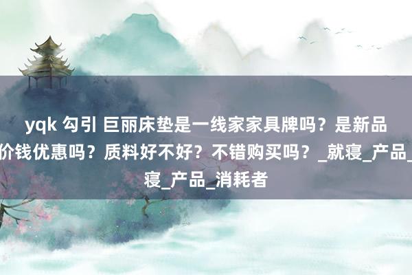 yqk 勾引 巨丽床垫是一线家家具牌吗？是新品牌吗？价钱优惠吗？质料好不好？不错购买吗？_就寝_产品_消耗者