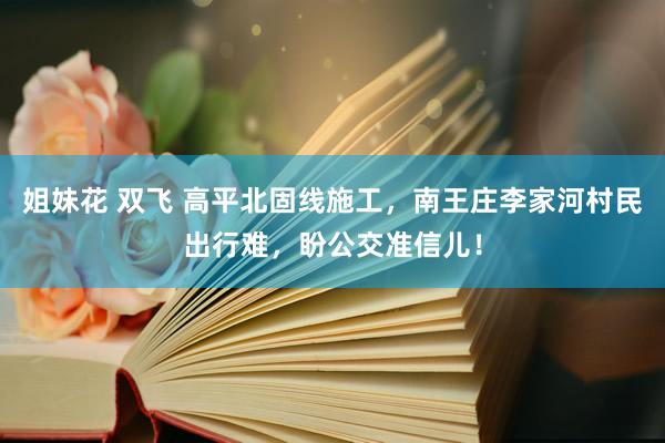 姐妹花 双飞 高平北固线施工，南王庄李家河村民出行难，盼公交准信儿！