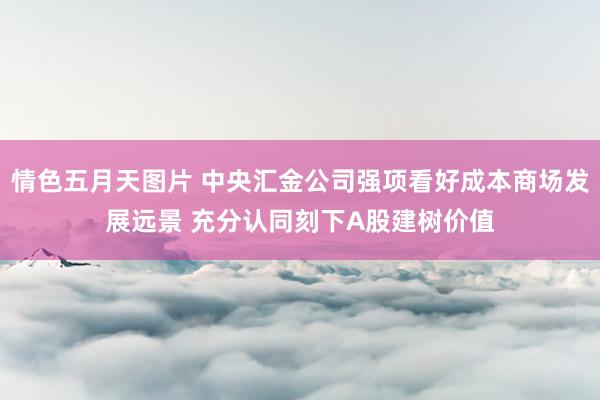 情色五月天图片 中央汇金公司强项看好成本商场发展远景 充分认同刻下A股建树价值