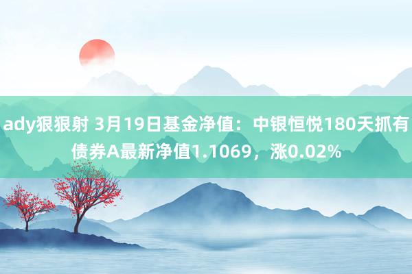 ady狠狠射 3月19日基金净值：中银恒悦180天抓有债券A最新净值1.1069，涨0.02%