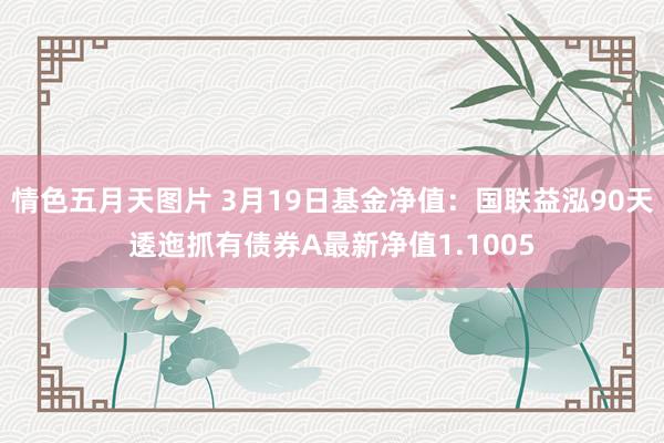 情色五月天图片 3月19日基金净值：国联益泓90天逶迤抓有债券A最新净值1.1005