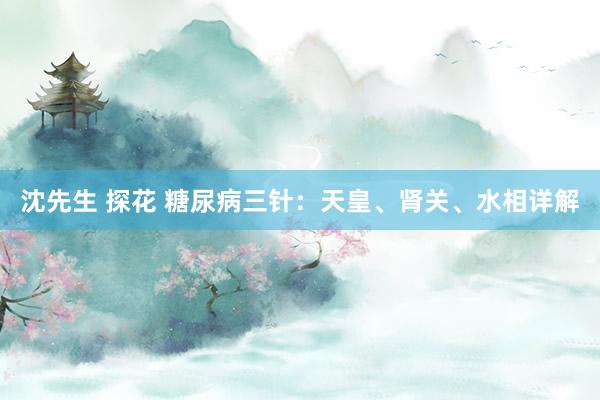 沈先生 探花 糖尿病三针：天皇、肾关、水相详解