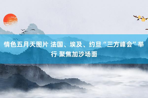 情色五月天图片 法国、埃及、约旦“三方峰会”举行 聚焦加沙场面