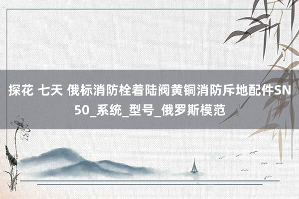 探花 七天 俄标消防栓着陆阀黄铜消防斥地配件SN50_系统_型号_俄罗斯模范
