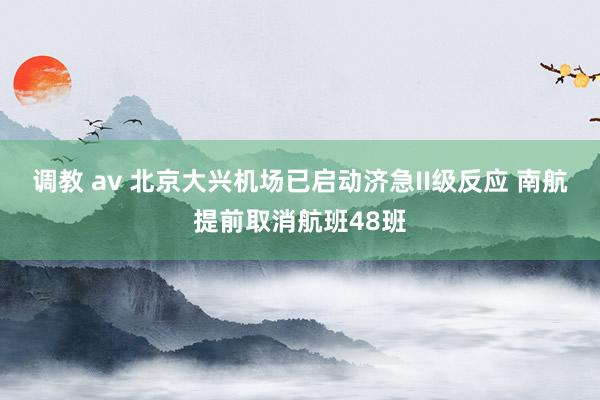 调教 av 北京大兴机场已启动济急II级反应 南航提前取消航班48班