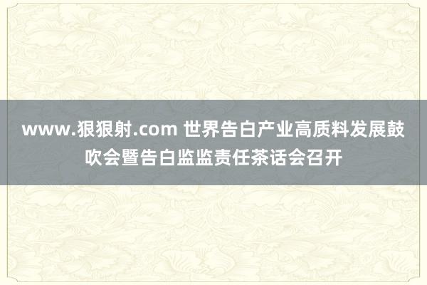 www.狠狠射.com 世界告白产业高质料发展鼓吹会暨告白监监责任茶话会召开