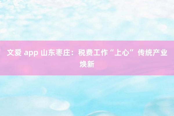 文爱 app 山东枣庄：税费工作“上心” 传统产业焕新