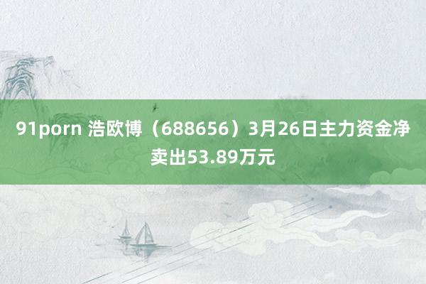 91porn 浩欧博（688656）3月26日主力资金净卖出53.89万元