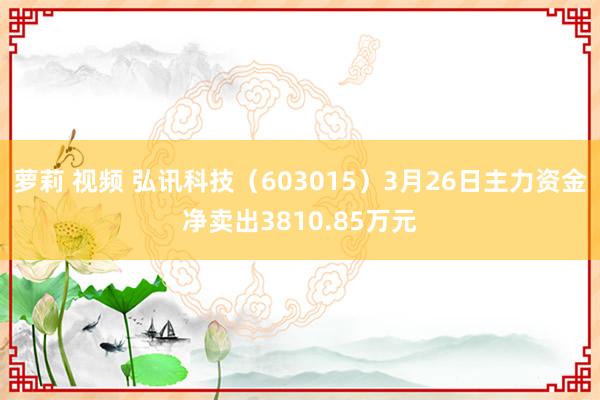 萝莉 视频 弘讯科技（603015）3月26日主力资金净卖出3810.85万元