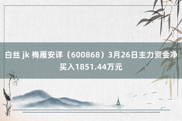 白丝 jk 梅雁安详（600868）3月26日主力资金净买入1851.44万元