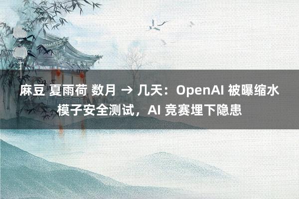 麻豆 夏雨荷 数月 → 几天：OpenAI 被曝缩水模子安全测试，AI 竞赛埋下隐患