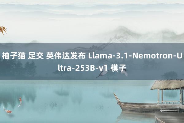 柚子猫 足交 英伟达发布 Llama-3.1-Nemotron-Ultra-253B-v1 模子