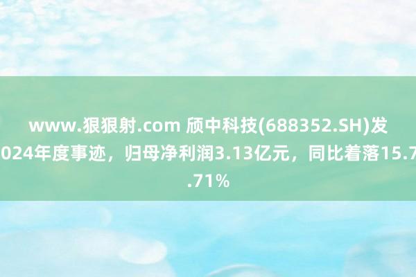 www.狠狠射.com 颀中科技(688352.SH)发布2024年度事迹，归母净利润3.13亿元，同比着落15.71%