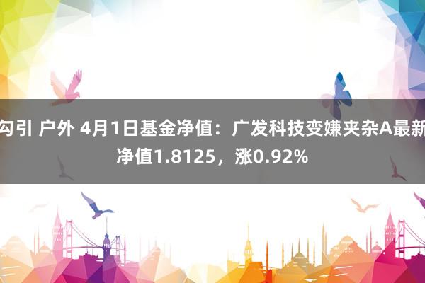 勾引 户外 4月1日基金净值：广发科技变嫌夹杂A最新净值1.8125，涨0.92%