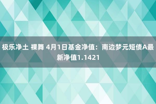 极乐净土 裸舞 4月1日基金净值：南边梦元短债A最新净值1.1421