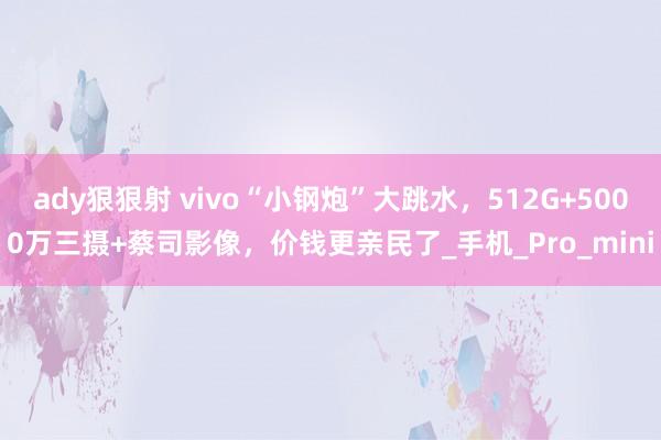 ady狠狠射 vivo“小钢炮”大跳水，512G+5000万三摄+蔡司影像，价钱更亲民了_手机_Pro_mini