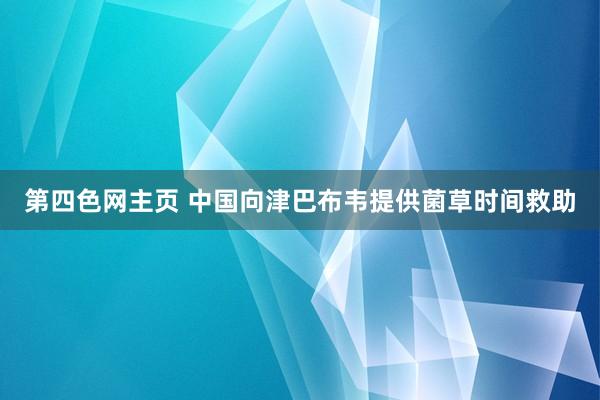 第四色网主页 中国向津巴布韦提供菌草时间救助