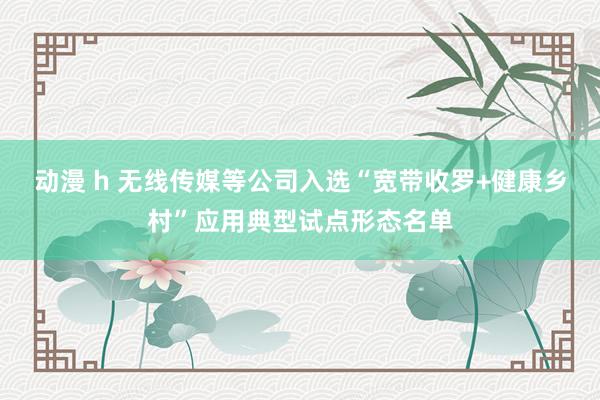 动漫 h 无线传媒等公司入选“宽带收罗+健康乡村”应用典型试点形态名单