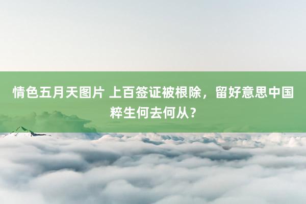 情色五月天图片 上百签证被根除，留好意思中国粹生何去何从？
