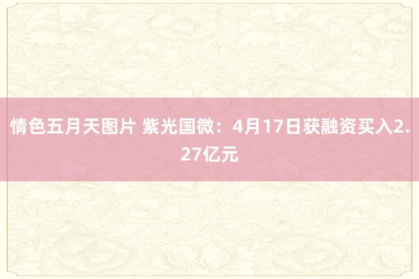 情色五月天图片 紫光国微：4月17日获融资买入2.27亿元