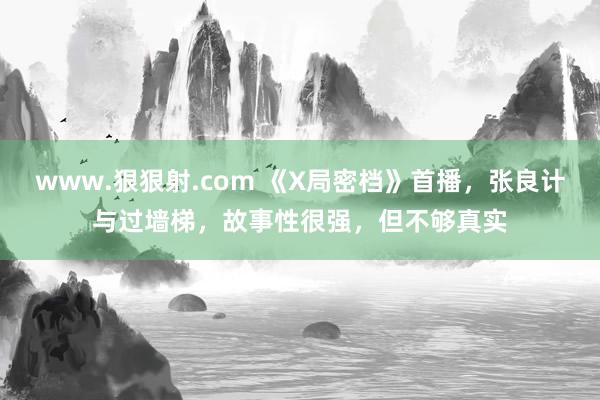 www.狠狠射.com 《X局密档》首播，张良计与过墙梯，故事性很强，但不够真实