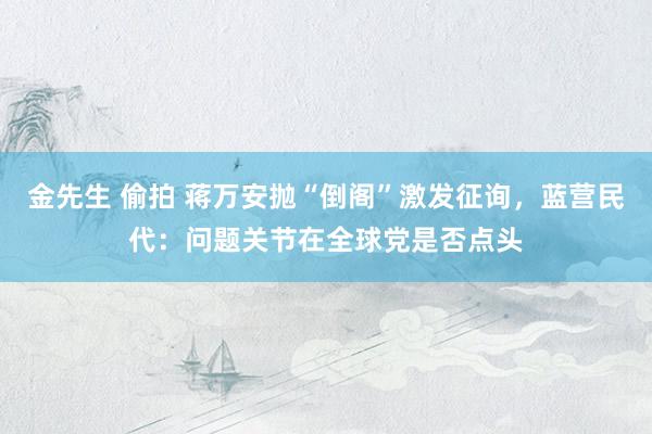 金先生 偷拍 蒋万安抛“倒阁”激发征询，蓝营民代：问题关节在全球党是否点头