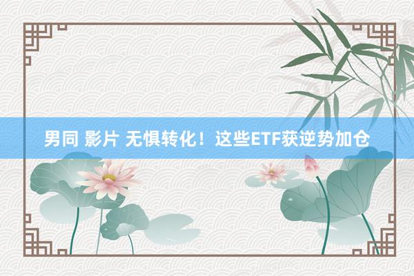 男同 影片 无惧转化！这些ETF获逆势加仓