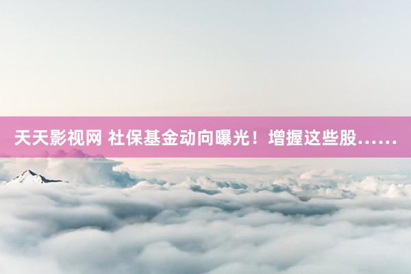 天天影视网 社保基金动向曝光！增握这些股……