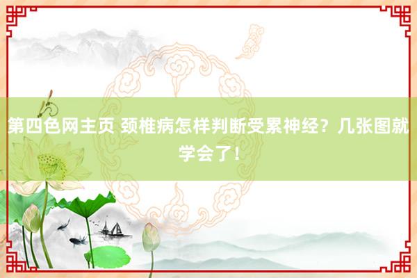 第四色网主页 颈椎病怎样判断受累神经？几张图就学会了！