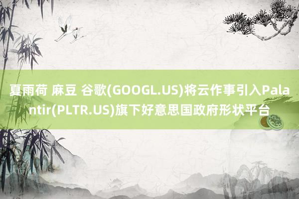夏雨荷 麻豆 谷歌(GOOGL.US)将云作事引入Palantir(PLTR.US)旗下好意思国政府形状平台