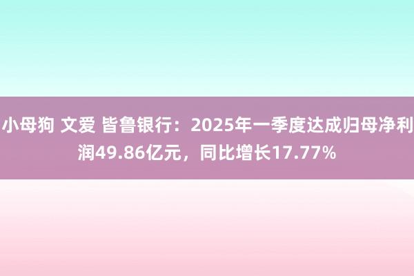 小母狗 文爱 皆鲁银行：2025年一季度达成归母净利润49.86亿元，同比增长17.77%